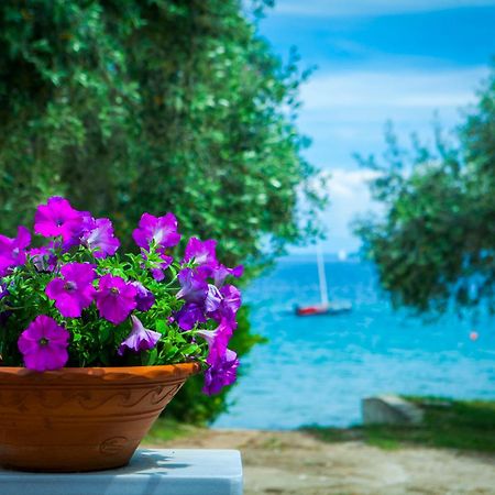 Villa Teresa Luxury Suites Λιμένας Εξωτερικό φωτογραφία